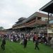 BestOfBets: Ebor Week Betting Tips & Race Analysis (Newbury, Ripon, Curragh)