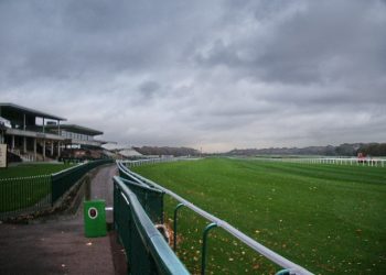 Four To Follow: Rise Like A Phoenix