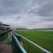Curragh, Newmarket & Haydock Racing Preview – Juvenile Tips & Betting Guide