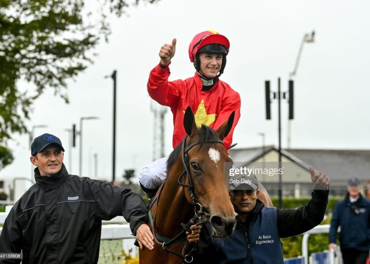 Highfield Princess, Ebor, Horse Racing