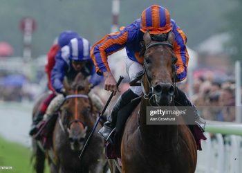 Horse Racing, Paddington, Ebor