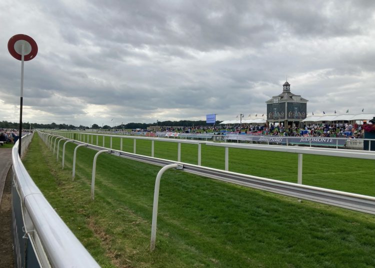Ebor Festival: Nunthorpe Preview & Daily York Betting Tips, Odds & NAPs
