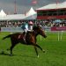 St. Leger Festival: Expert Tips, Doncaster Form & Betting Guide