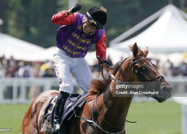 St Leger, Desert Crown, Royal
