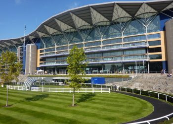 Four To Follow: A Day to Challenge