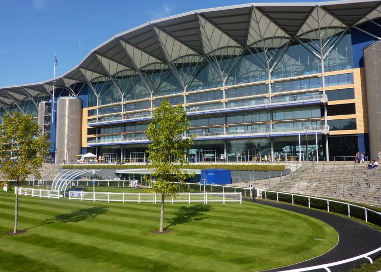 Four To Follow: A Day to Challenge