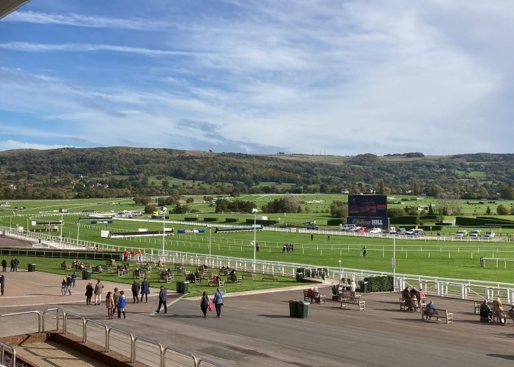 Four To Follow: Cheltenham Crackers