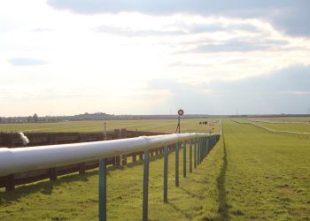 Four to Follow: Future Champions & Old Friends