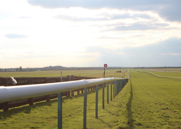 Four To Follow: Newmarket, York & Cesarewitch — UK Horse Racing Betting Tips