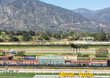 Four To Follow: Don’t Play The Game + Breeders’ Cup Tip