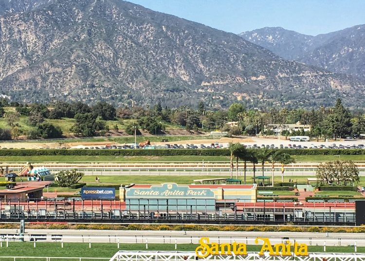 Four To Follow: Don’t Play The Game + Breeders’ Cup Tip