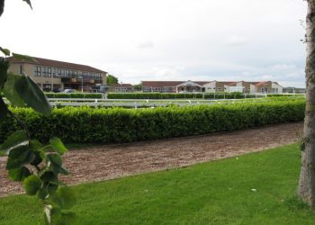 Four To Follow: Cheers To The Beers