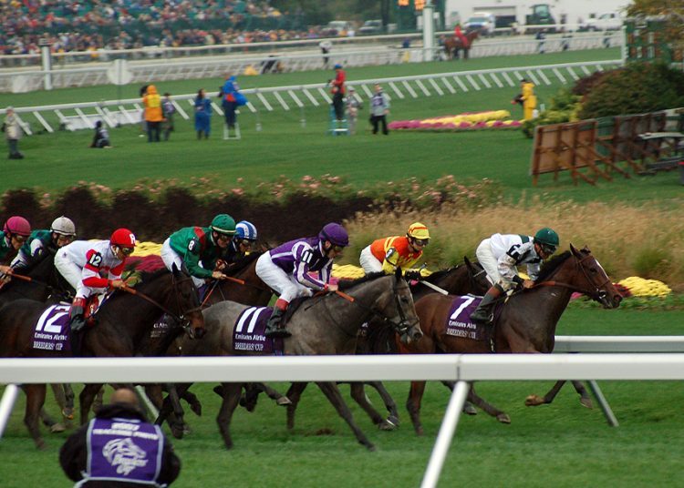 Breeders' Cup