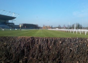 FIVE To Follow: Boxing Day Bonanza