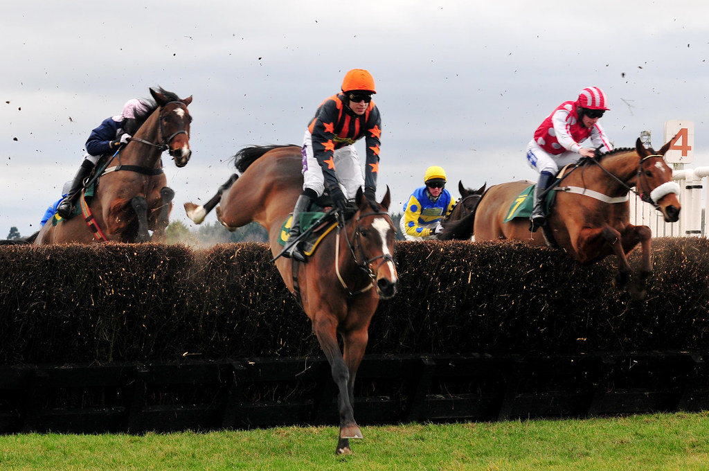 Tingle Creek Day