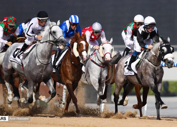 Dubai World Cup Day 2026: Expert Turf Betting Tips & Meydan Guide