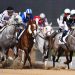 Dubai World Cup Day 2026: Expert Turf Betting Tips & Meydan Guide