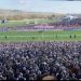 Cheltenham Festival 2026: In-Depth Race Analysis, Market Signals & Betting Guide