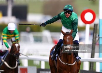 El Fabiolo, Cheltenham