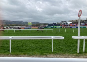Cheltenham 2024 | Gold Cup Day: Selections and Naps
