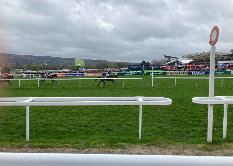 Cheltenham Festival Day Four: Final Gold Cup Tips & Analysis