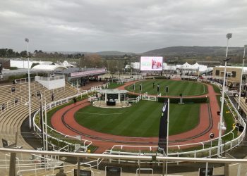 Cheltenham 2024 | Day One: Selections and Naps