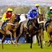 Free Cheltenham Festival 2025 Ante-post Tips