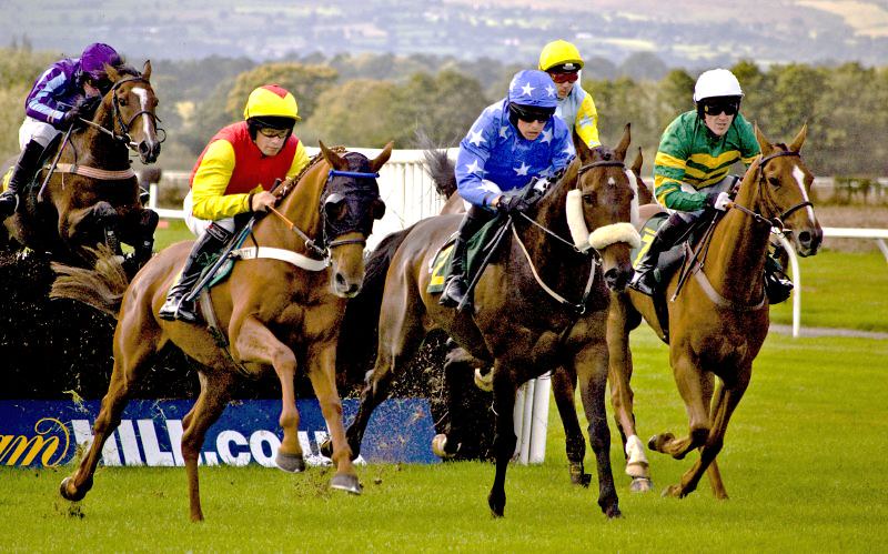 Cheltenham November Meeting