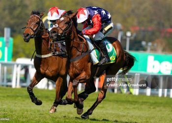 horse racing, Kitty's Light