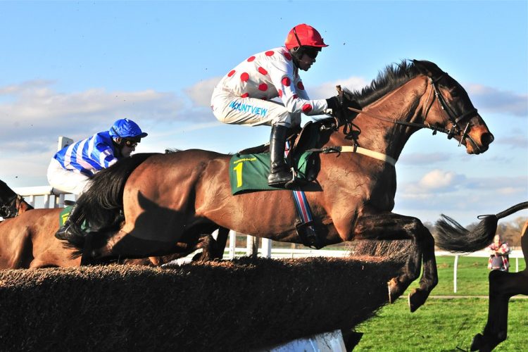 Cheltenham December Meeting