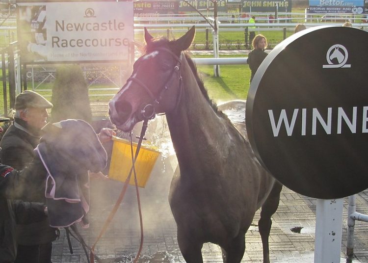 BestOfBets Saturday Racing Tips & Preview – Northumberland Plate, Newmarket & Curragh