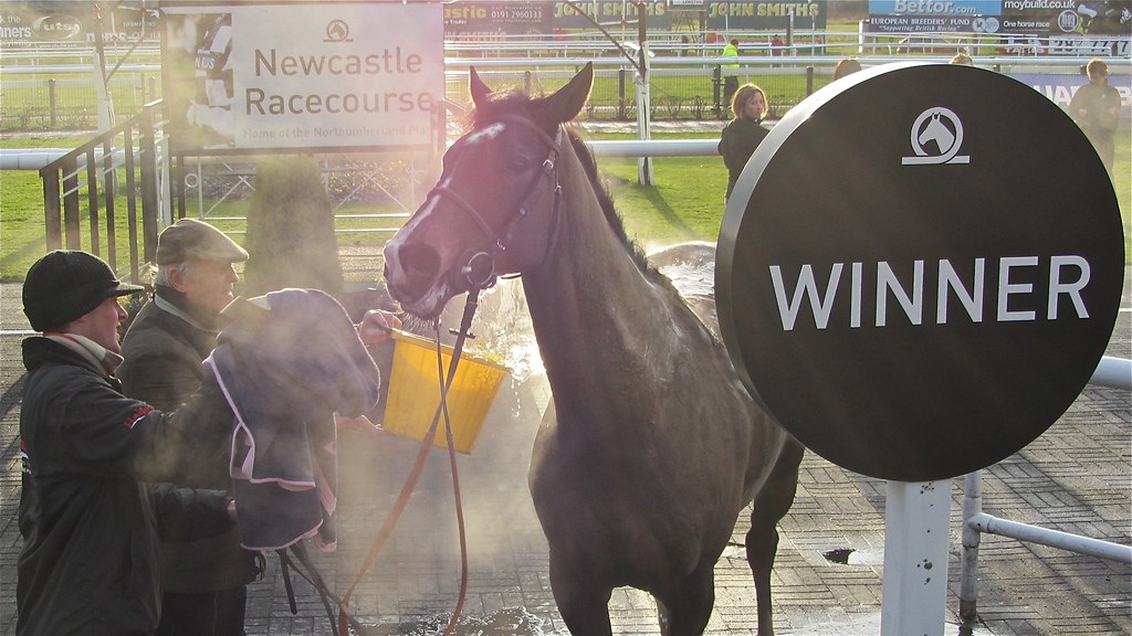 Northumberland Plate