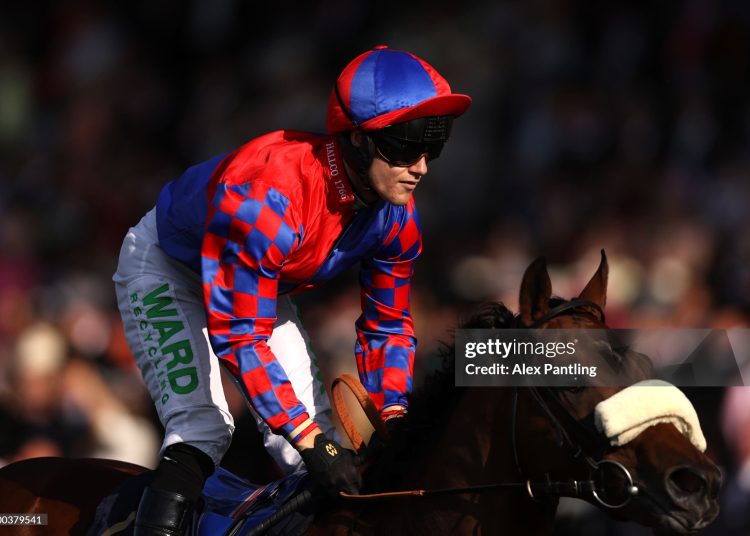 Big Evs, Royal Ascot, Nunthorpe