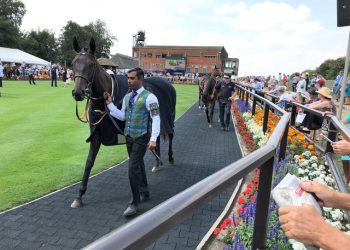 July Festival | Four To Follow: John & July