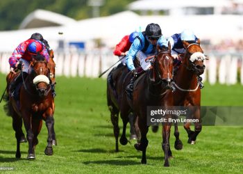 Horse Racing, Asfoora