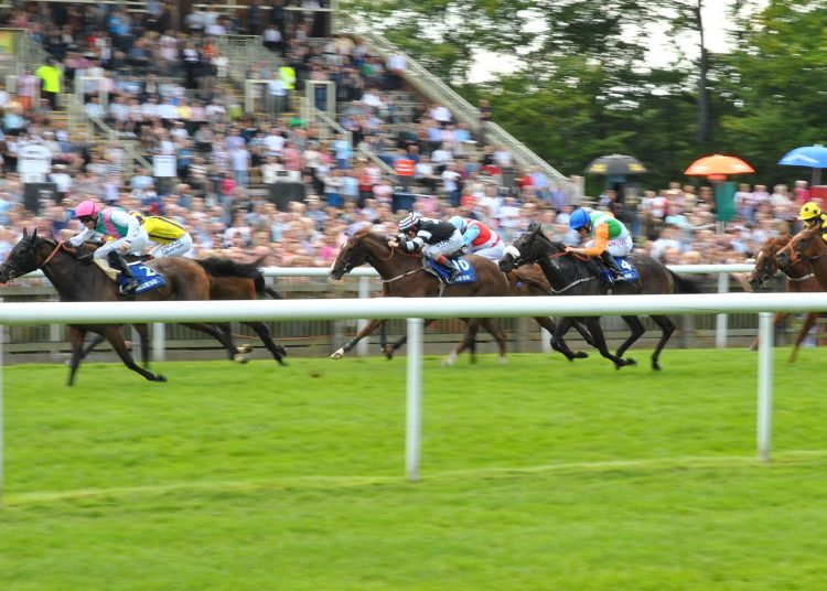 Newmarket July Festival