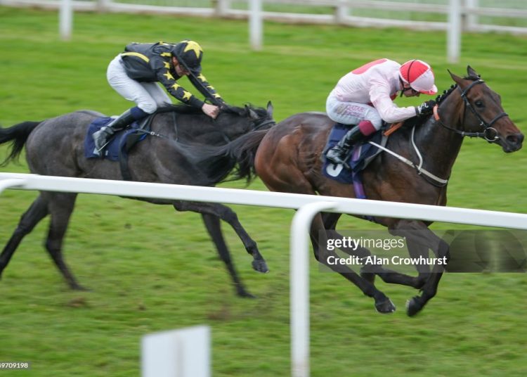 Sea of Roses, Dubai Stakes, Newmarket