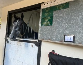 Irish Champion Weekend | Four To Follow – Saturday