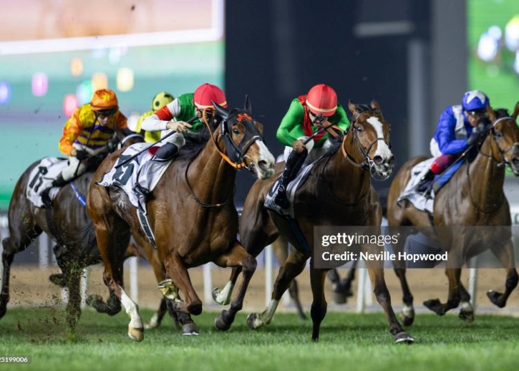 Qipco, Facteur Cheval