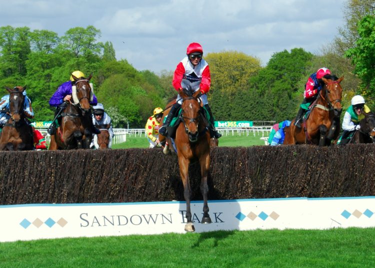 Sandown Jumps Season Finale Day 2025
