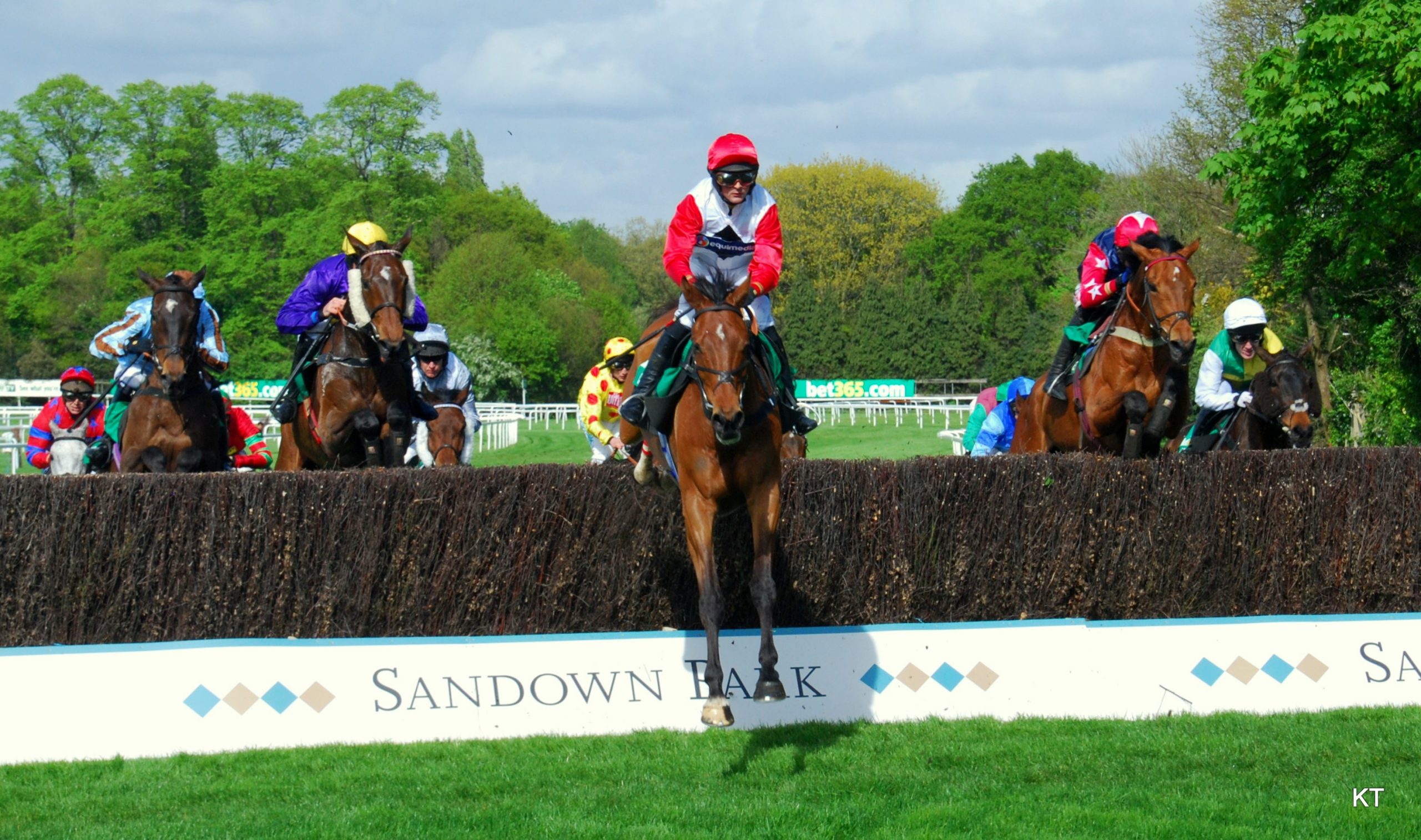 Tingle Creek