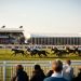 Cheltenham Festival 2025 Day 3 Tips