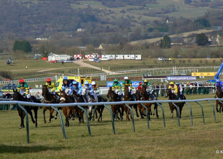 Newmarket Craven Day & Cheltenham Tips
