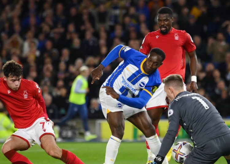 Brighton v Nottingham Forest FA Cup Preview — Betting Tips & Team News
