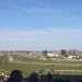 Aintree Grand National Day Betting Preview – Full Form Guide & Tips