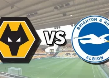 Premier League | Wolves v Brighton