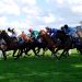 Royal Ascot 2025 Day 4 Selections